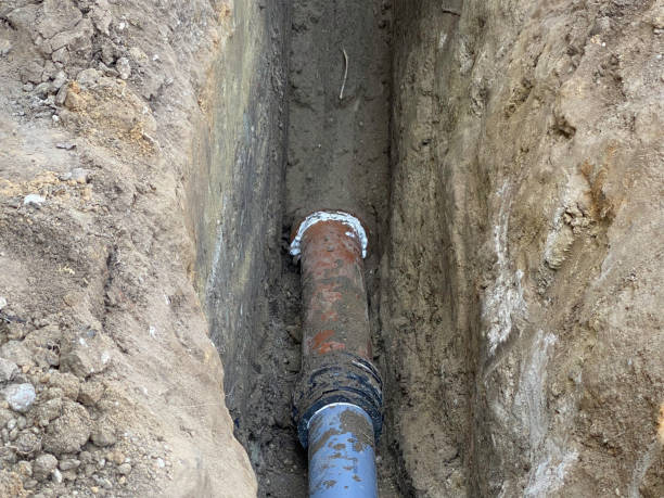 Best 24-hour water damage restoration  in Collinsvle, IL