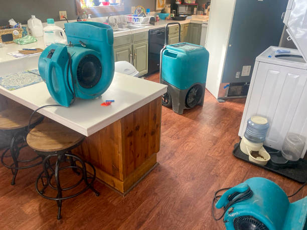 Best Water damage restoration specialists  in Collinsvle, IL