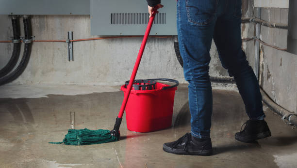 Best Flood restoration services  in Collinsvle, IL