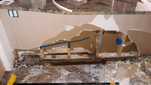 Best Carpet water damage restoration  in Collinsvle, IL