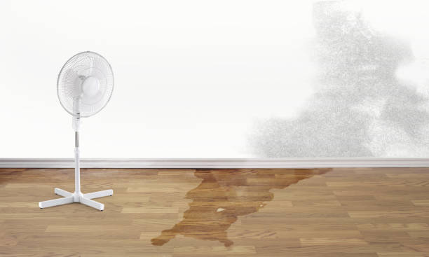  Collinsvle, IL Water damage restoration Pros