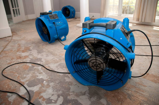 Best Water damage restoration near me  in Collinsvle, IL