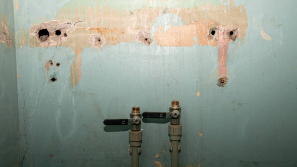 Best Fire Damage Restoration  in Collinsvle, IL