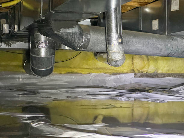 Best Flooded house restoration  in Collinsvle, IL