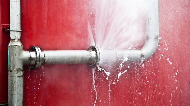 Best Mold removal after water damage  in Collinsvle, IL